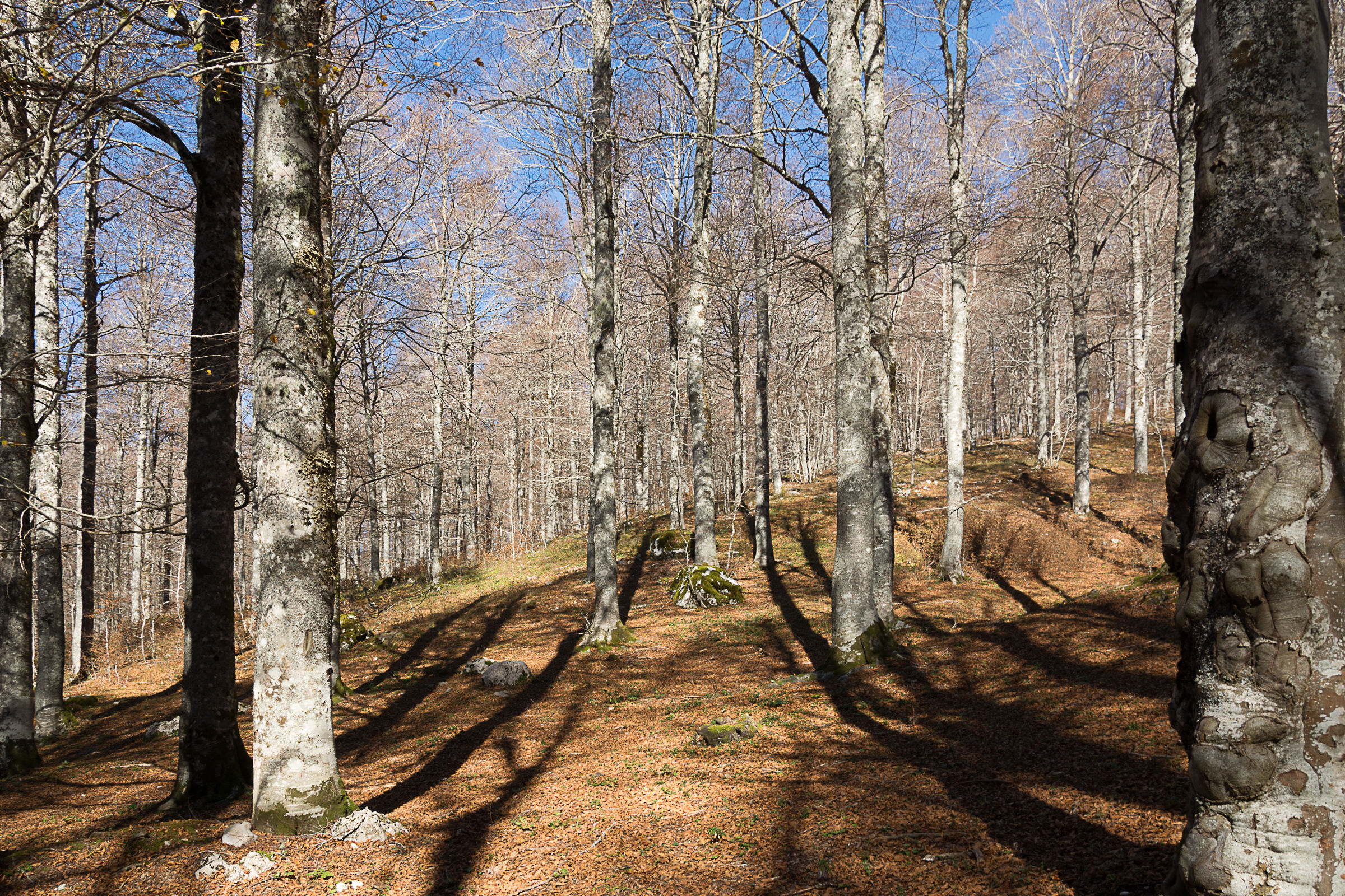 Forca D'Acero - Parco Naz. D'abruzzo