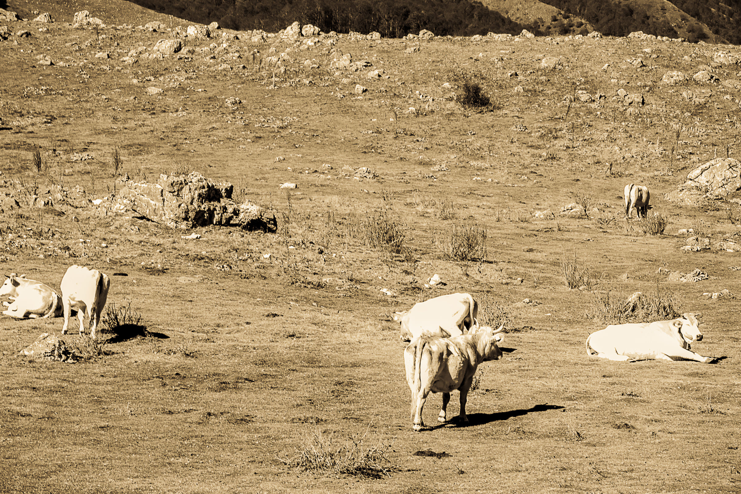 Forca D'Acero - Parco Naz. D'abruzzo