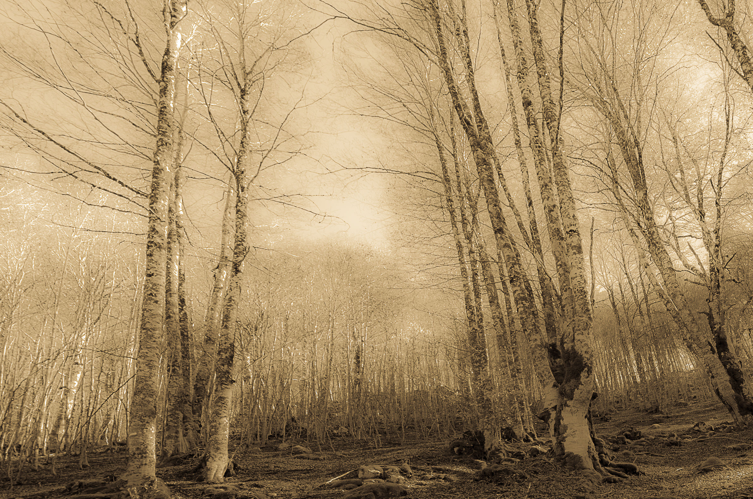Forca d'Acero - Nat Park. D'abruzzo