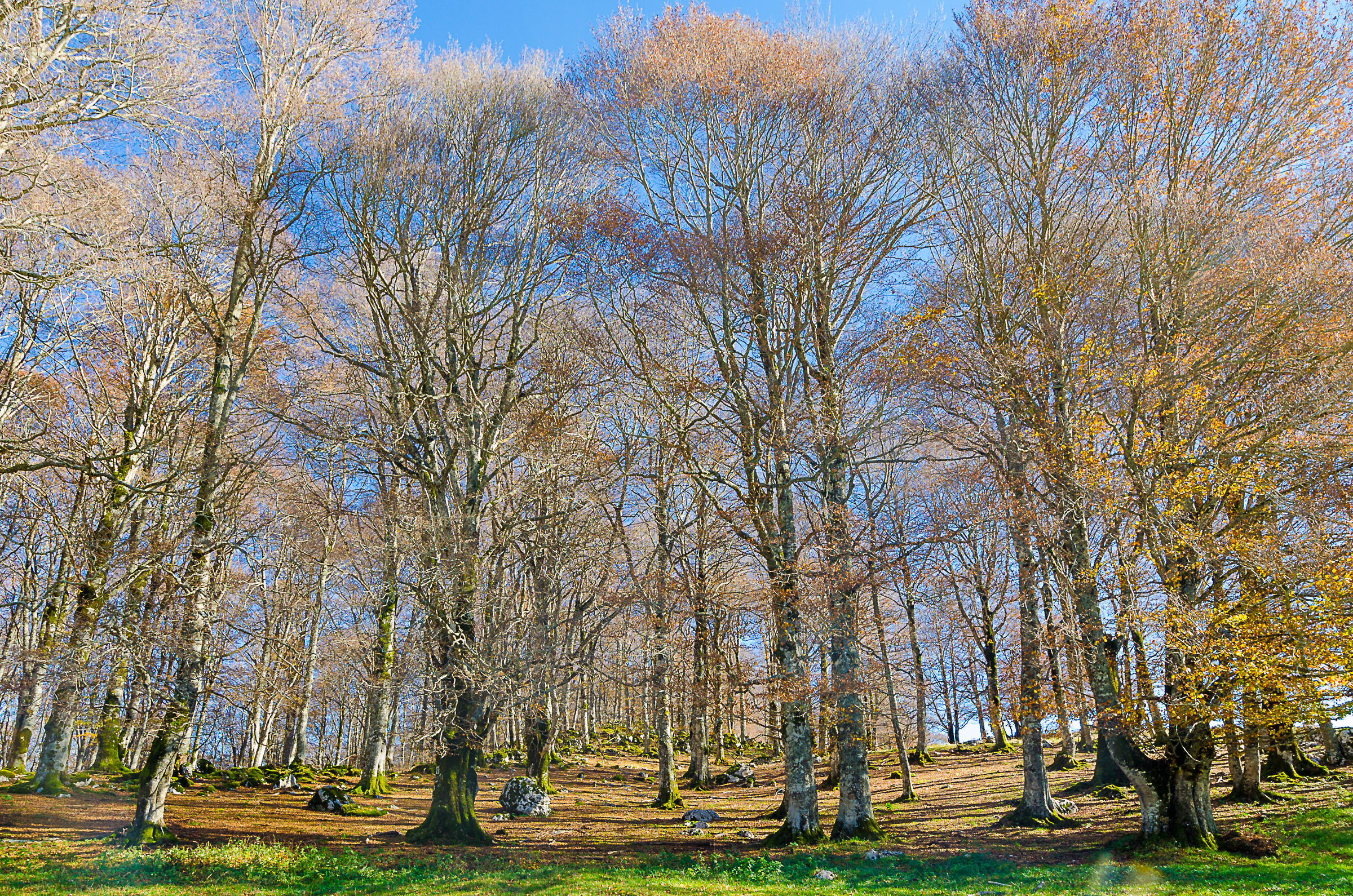 Forca D'Acero - Parco Nazionale D'Abbruzzo