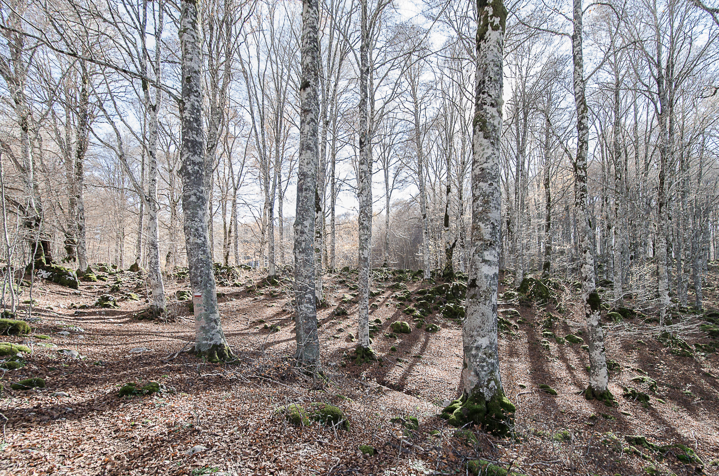 Forca D'Acero - Parco Nazionale D'Abbruzzo