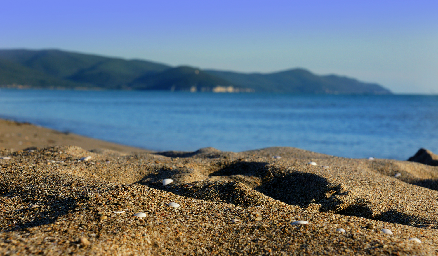 Spiaggia, mare e torre!!!