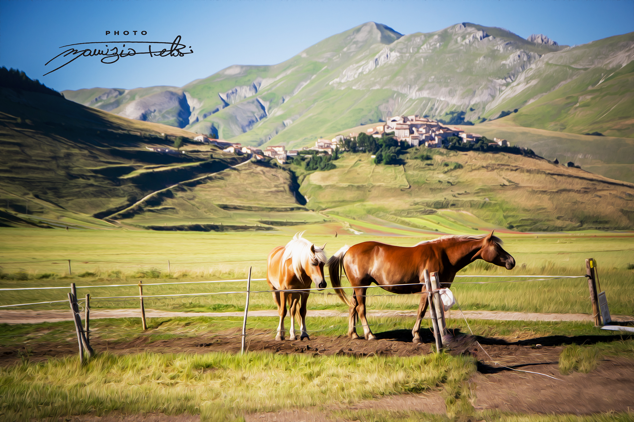 Ricordi ....Castelluccio Di Norcia