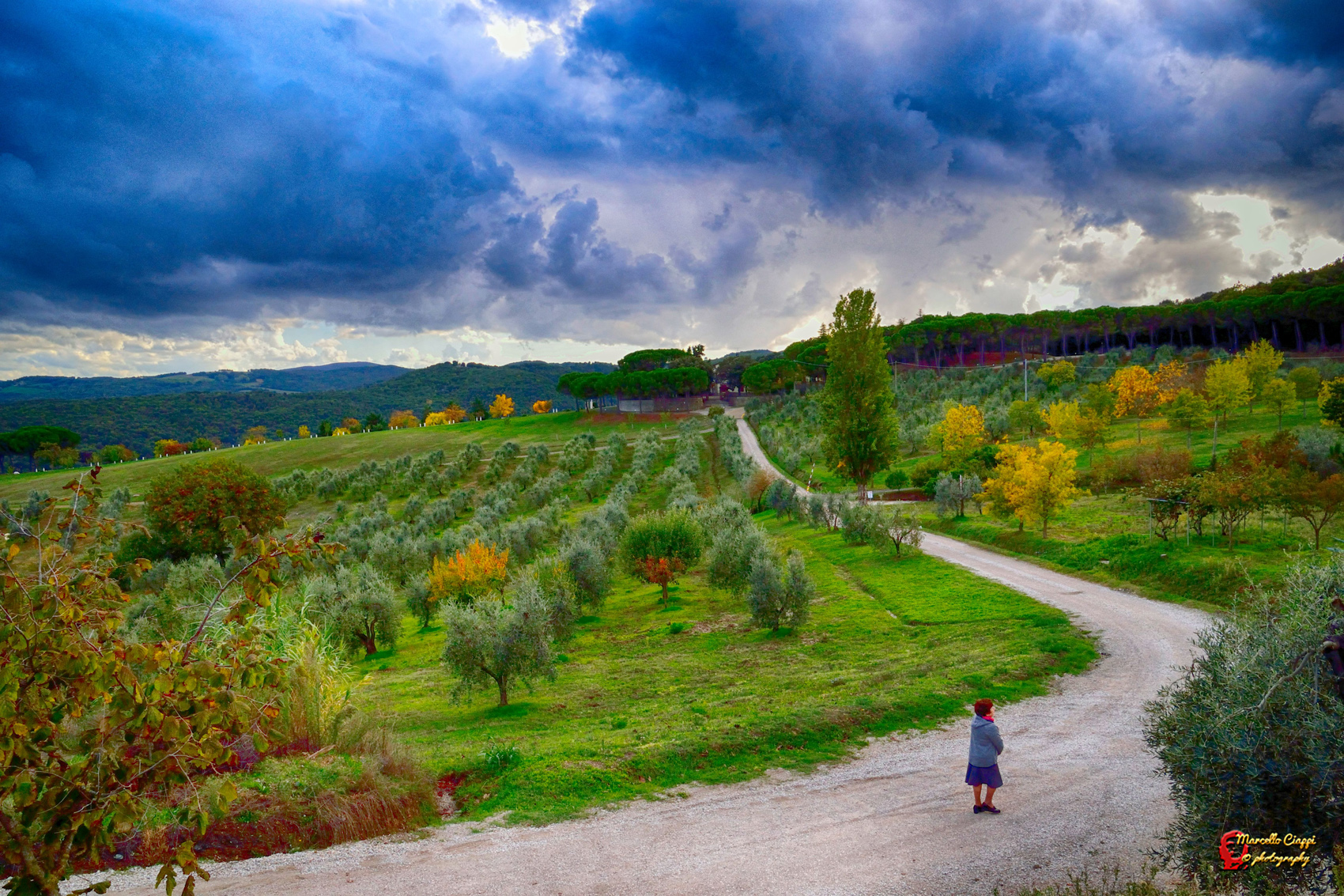 I colori dell'autunno