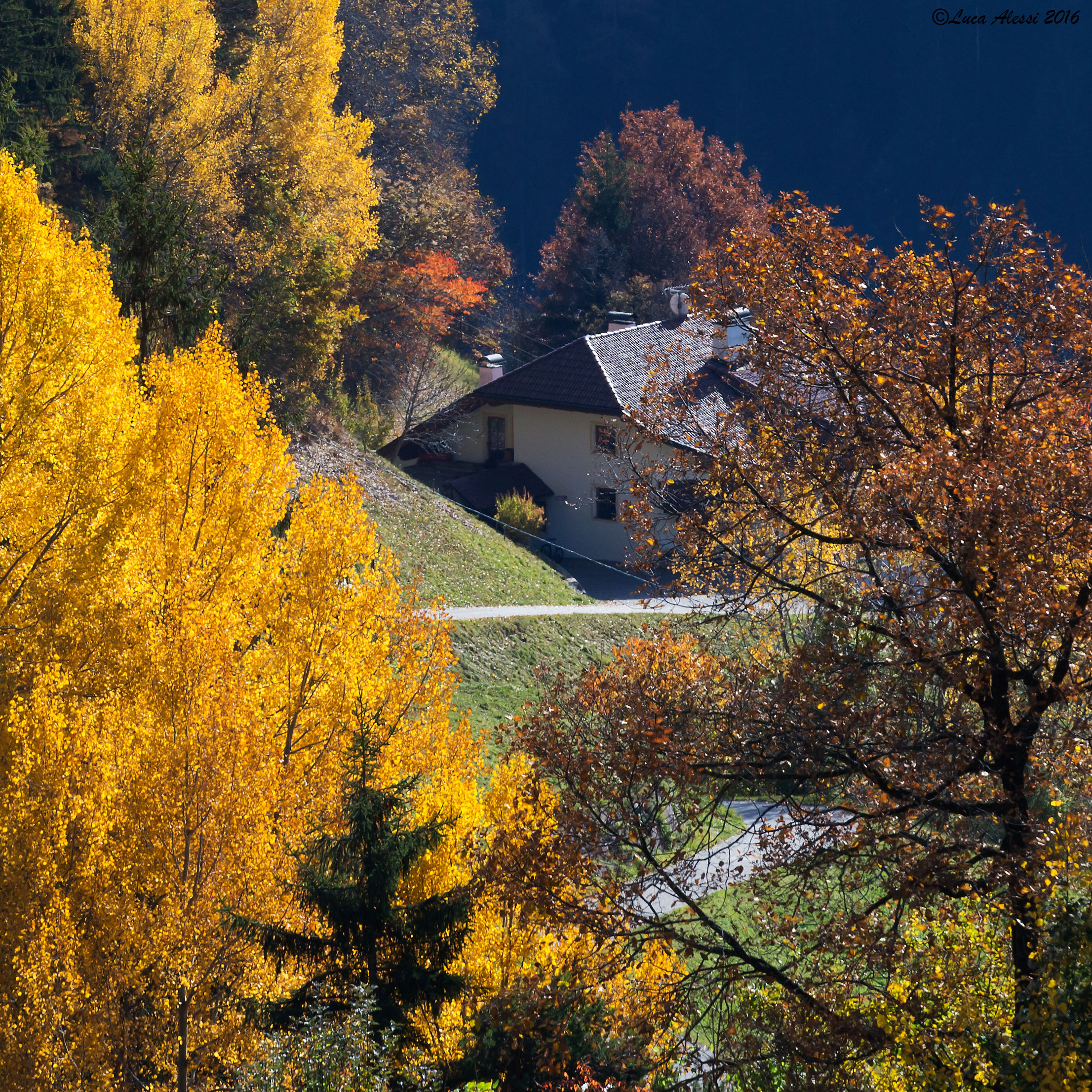 ..E poi c'è chi abita in paradiso..