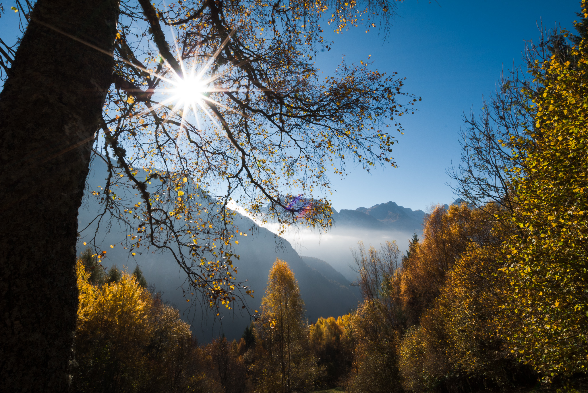 I colori dell'autunno 1