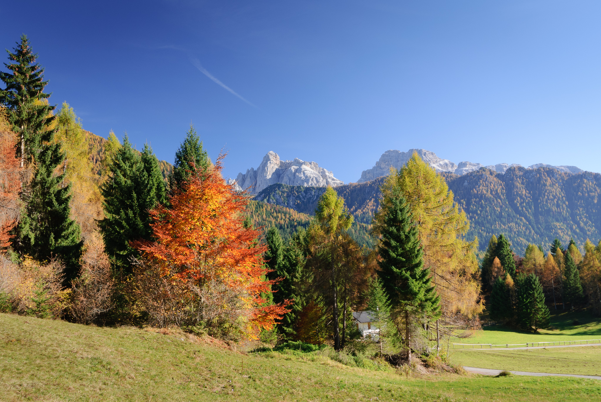 I colori dell'autunno 2