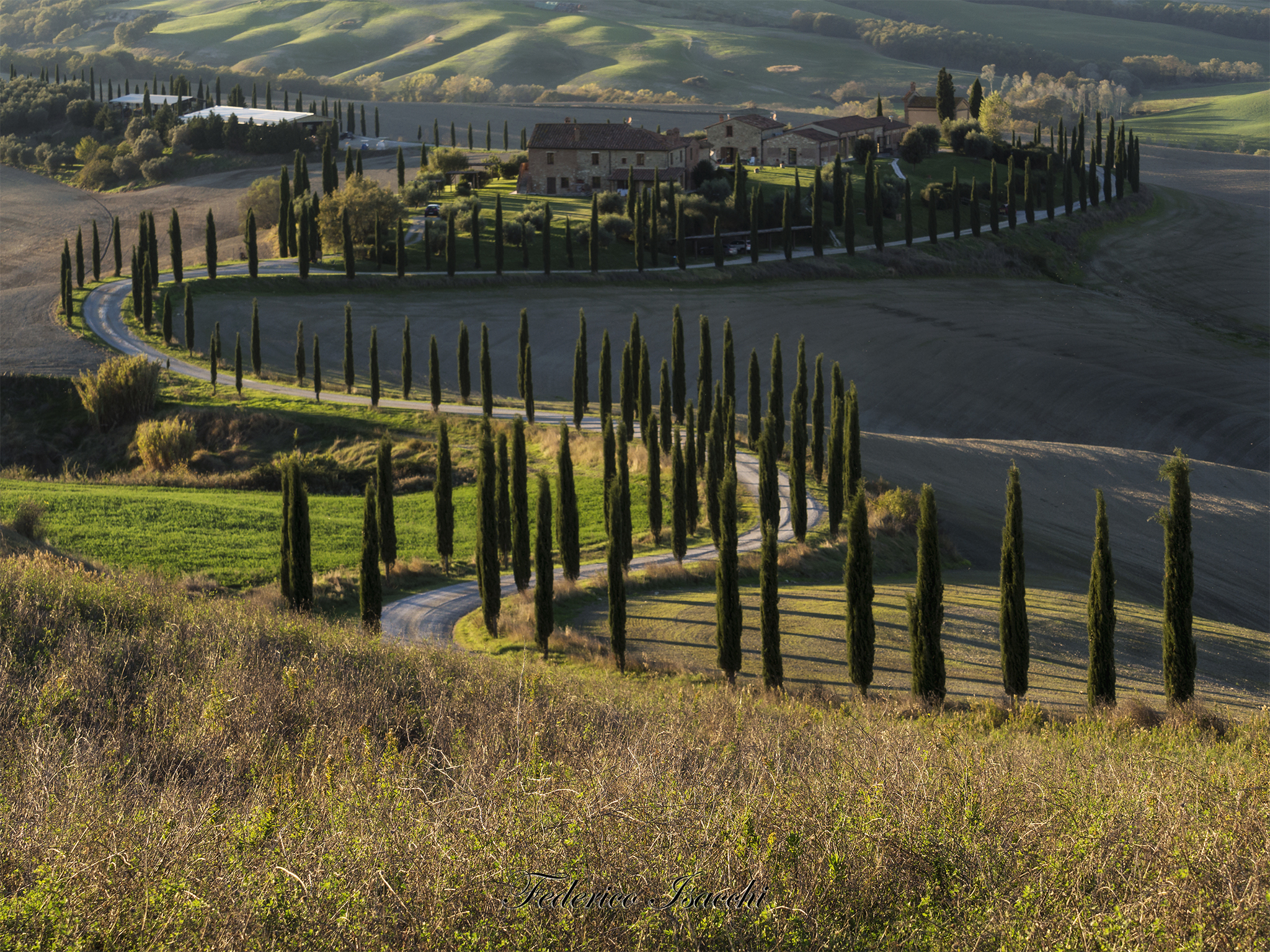 Tuscan sinuous