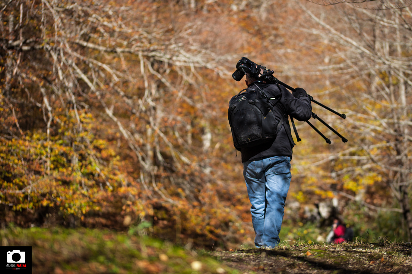 A Caccia di Fotografie