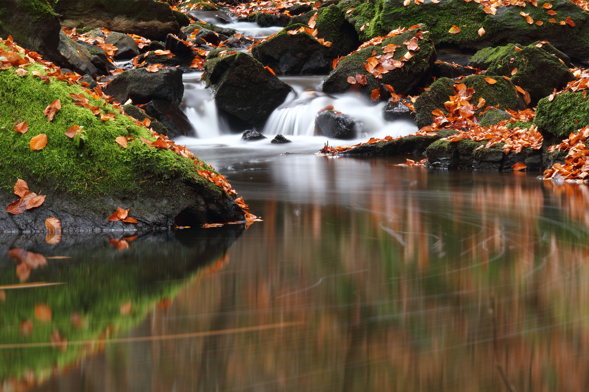 Doubrava-magic valley 2.