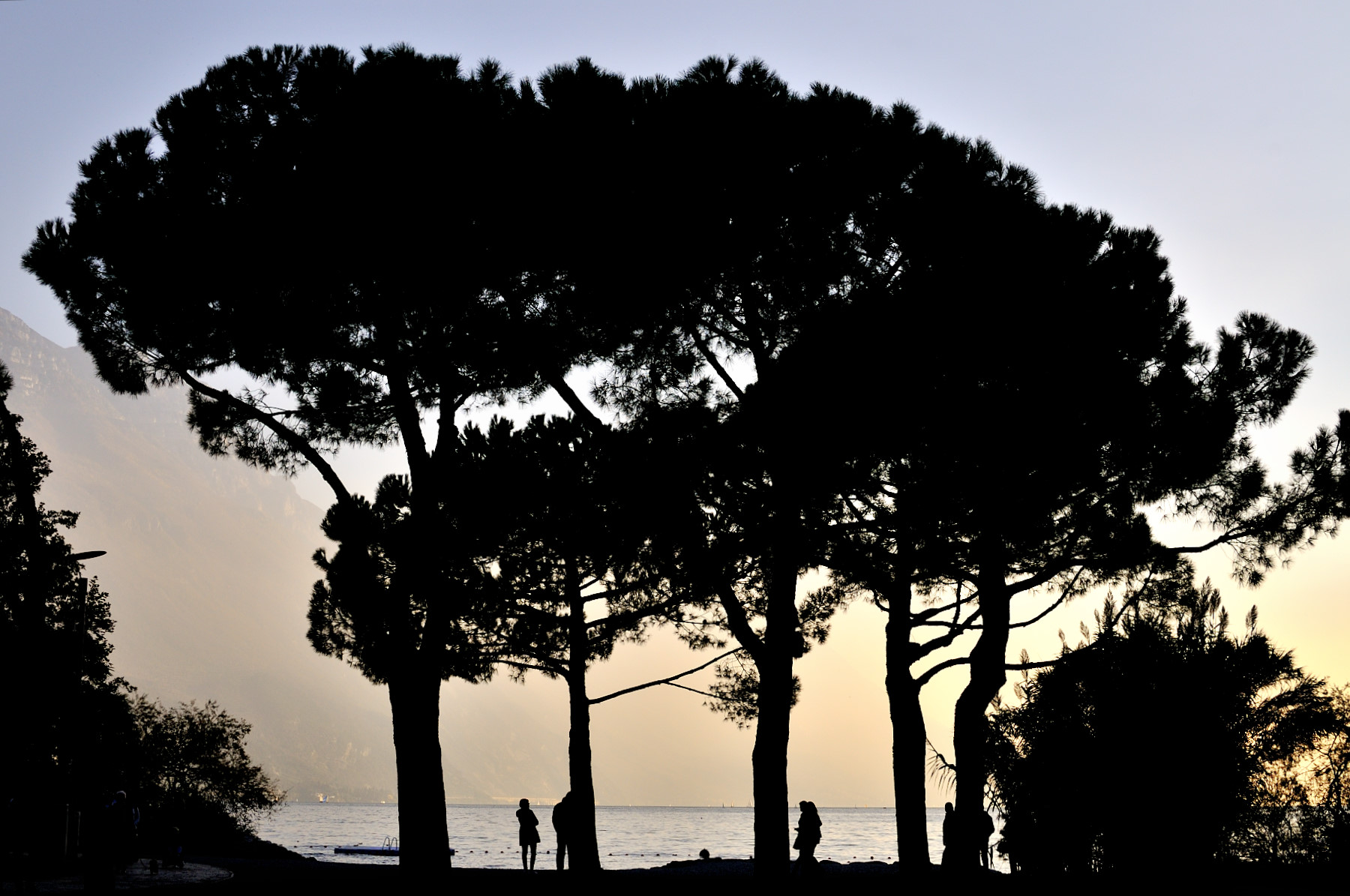 By the lake with autumn mist.