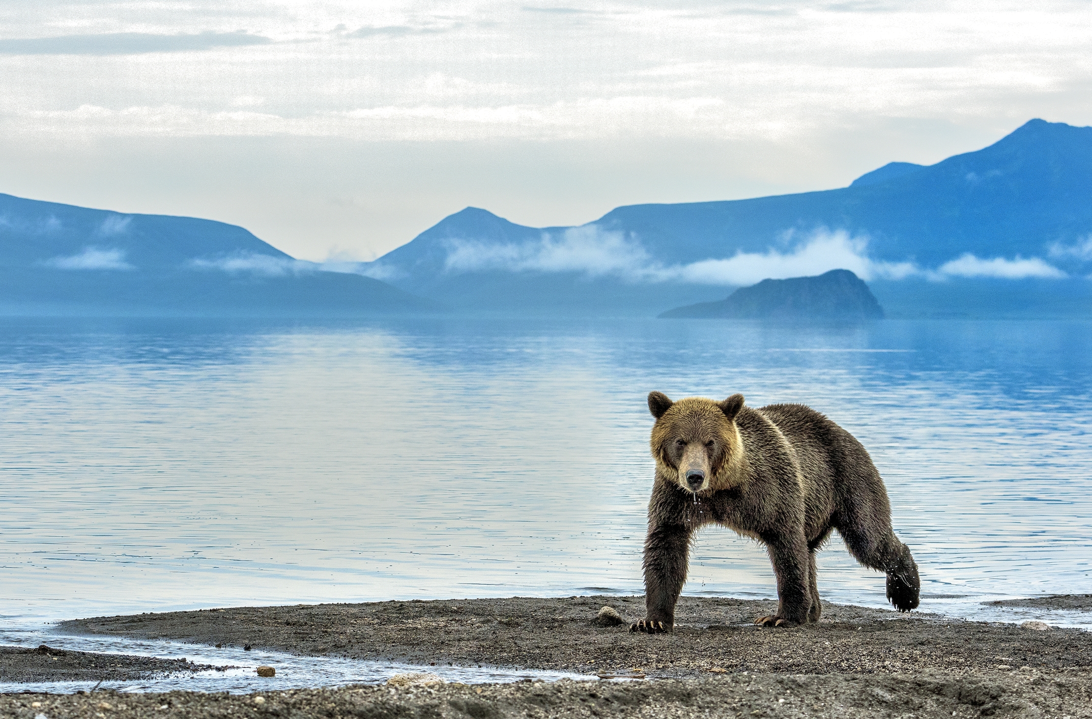 Kamchatka 2016 - Sul lago