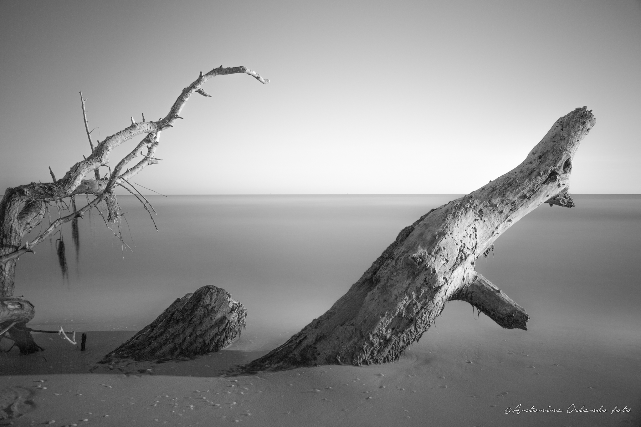 Il mare come un deserto....