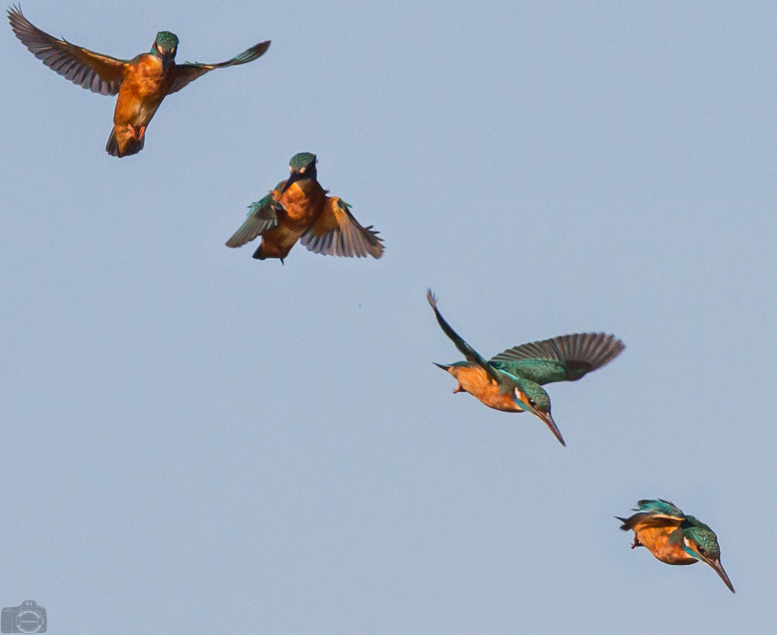 flight sequence to "holy spirit" of Martin Pescato...