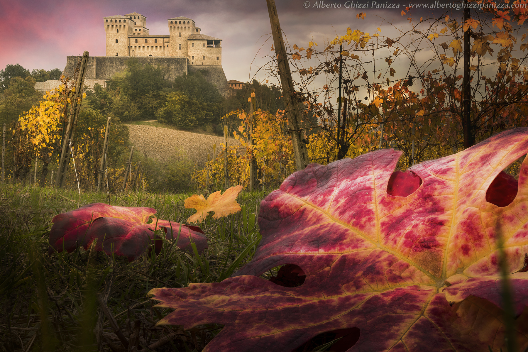 The tribute of the colors of the leaves