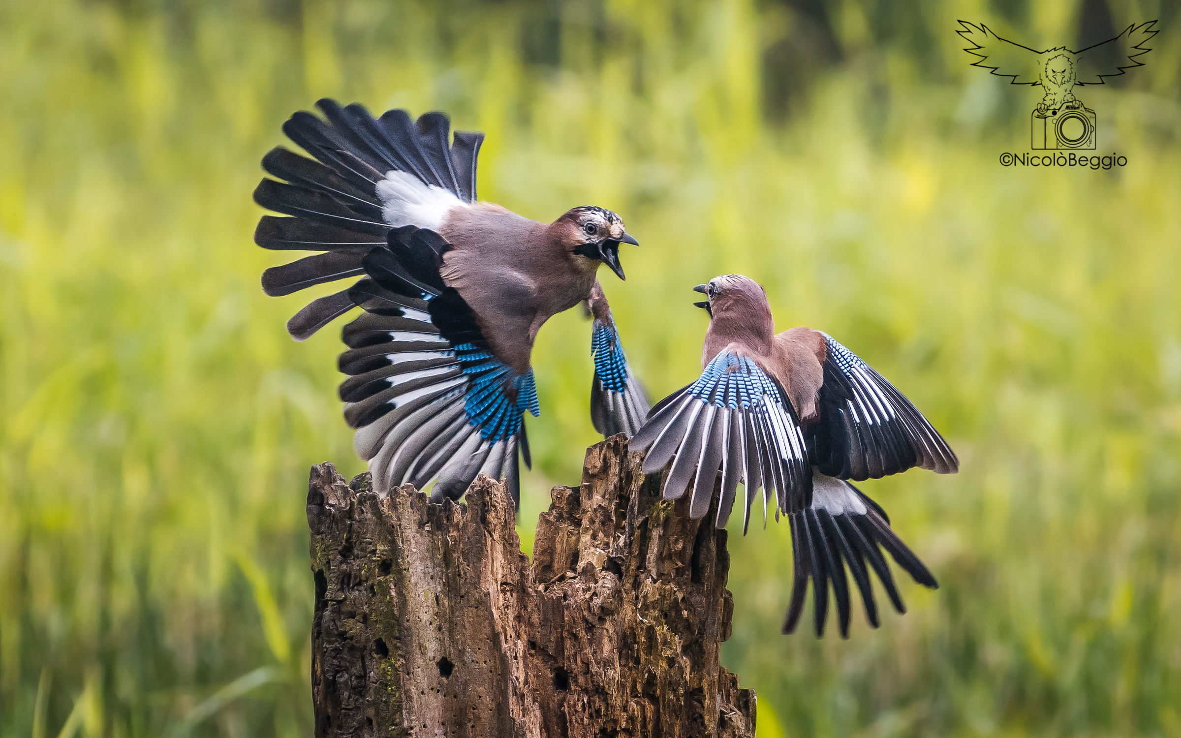 In the fight for food