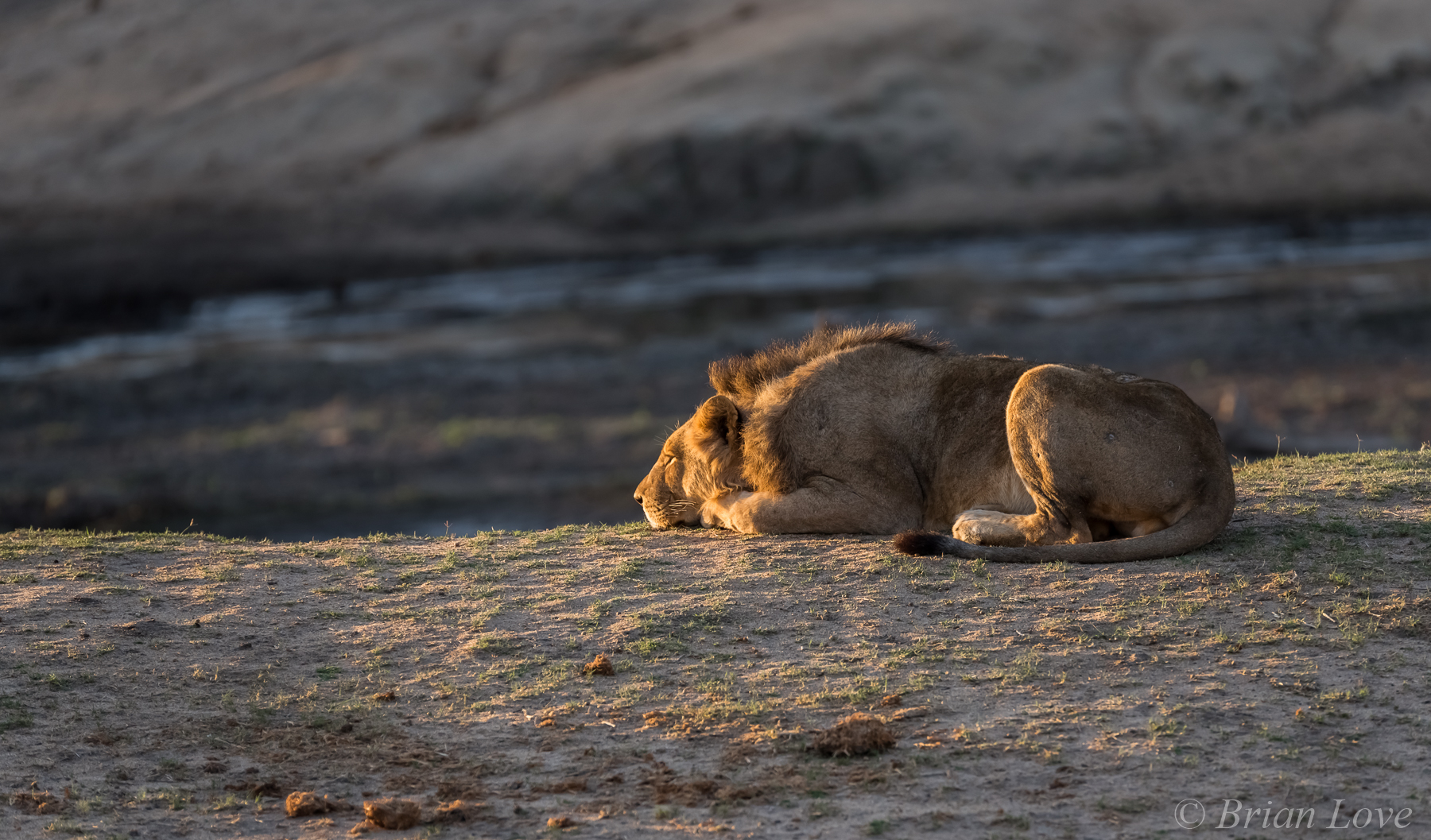 After A Cold Night The Morning Sun Feels Good!