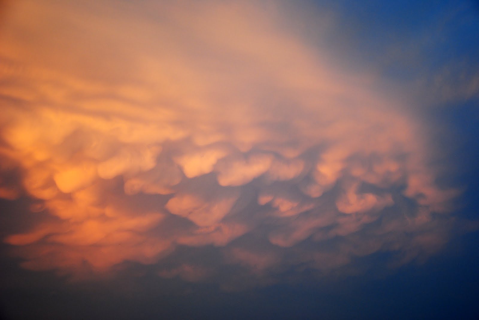Mammatus...