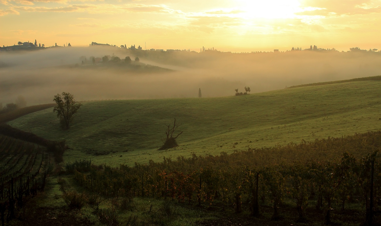 Tuscan countryside