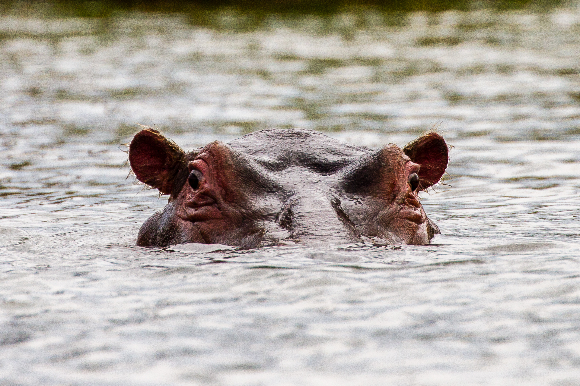 What is there to look at?