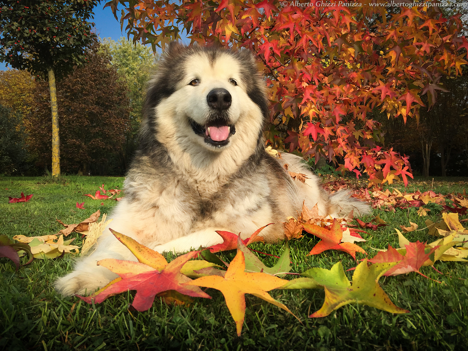 Sono bianca e nera ma amo i colori
