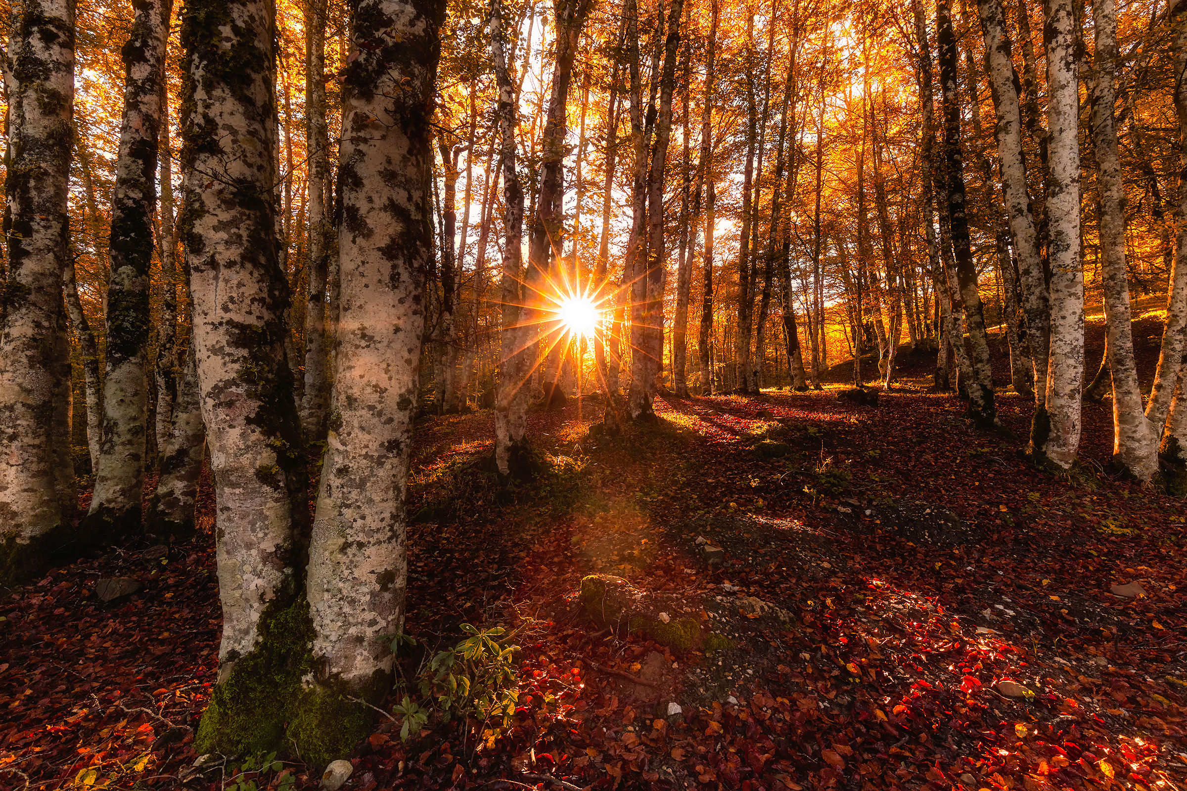 A beautiful autumn sunrise