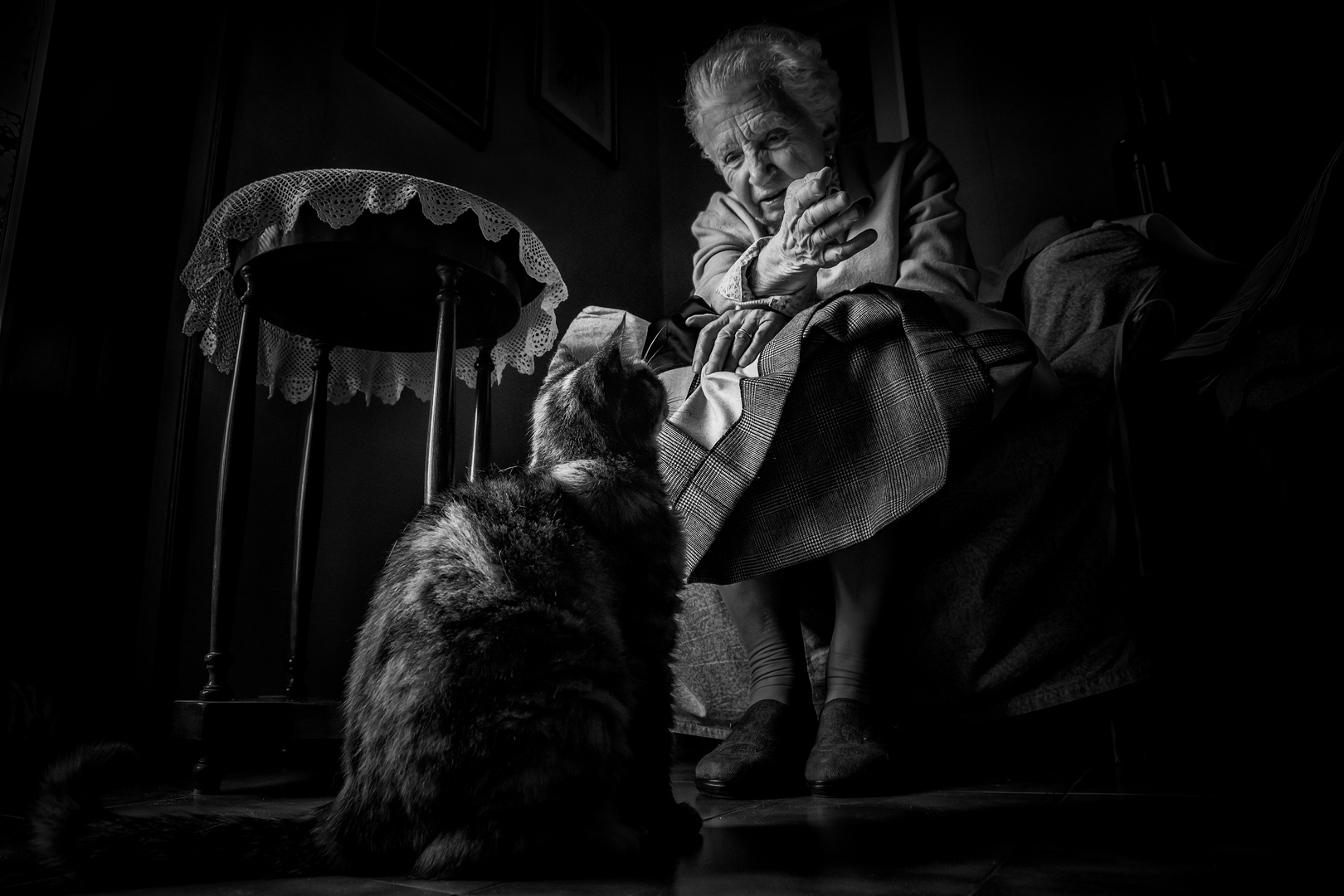 Aunt Isa and the cat