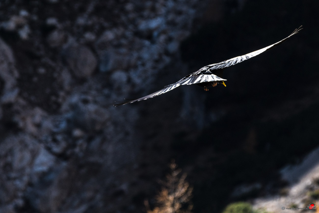 In flight over the Dolomites