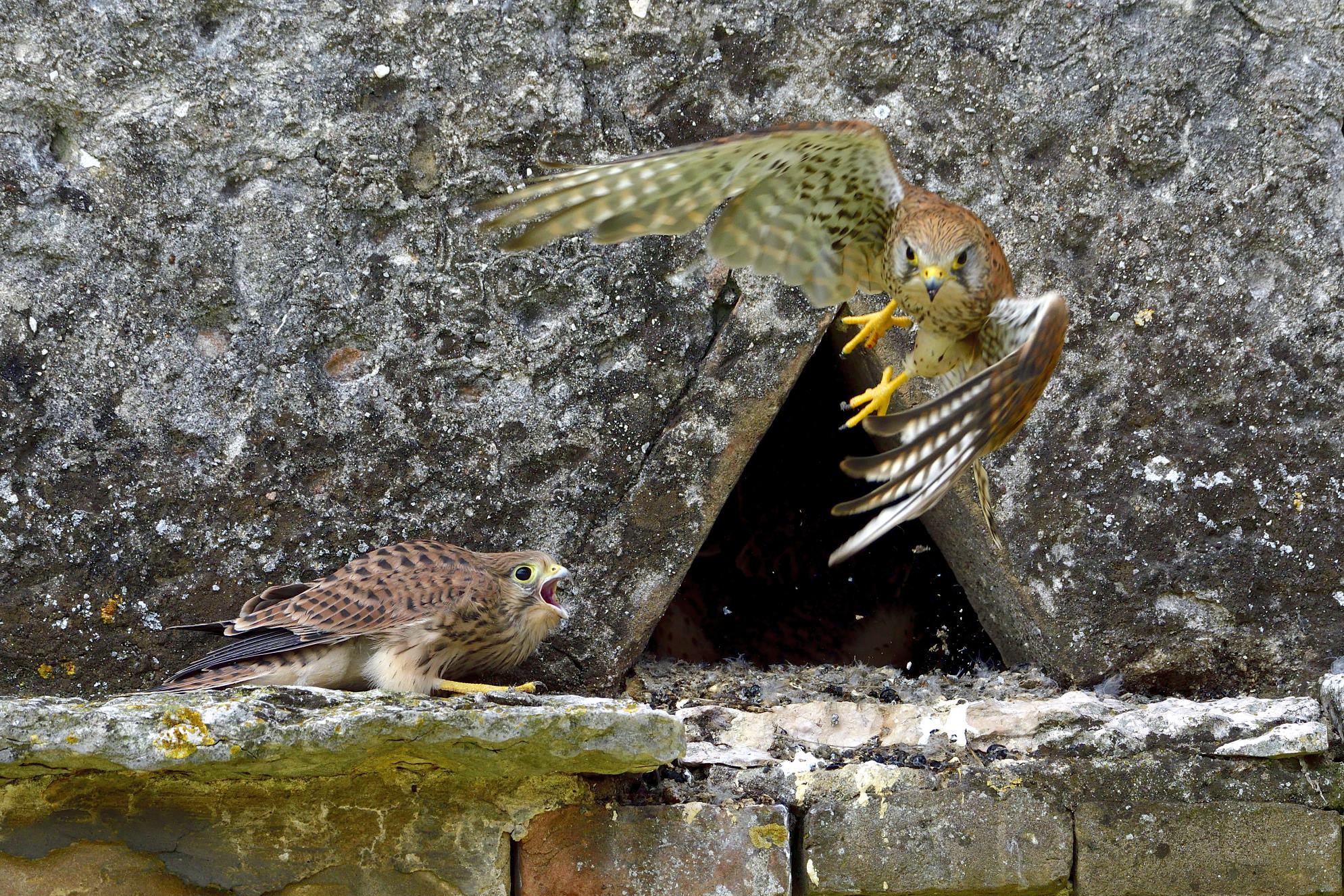adesso mi sposto. così puoi passare