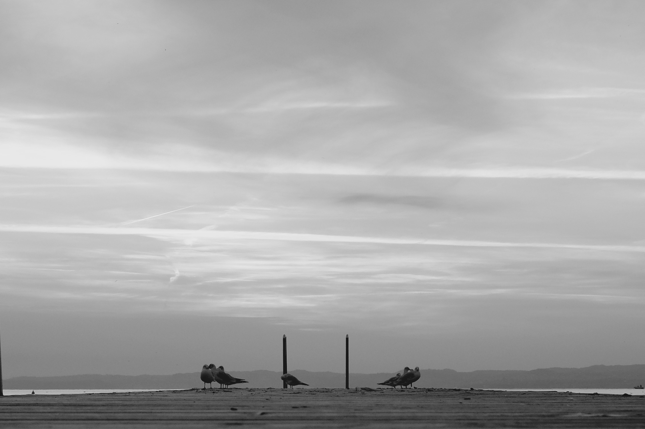 Alla fine del pontile