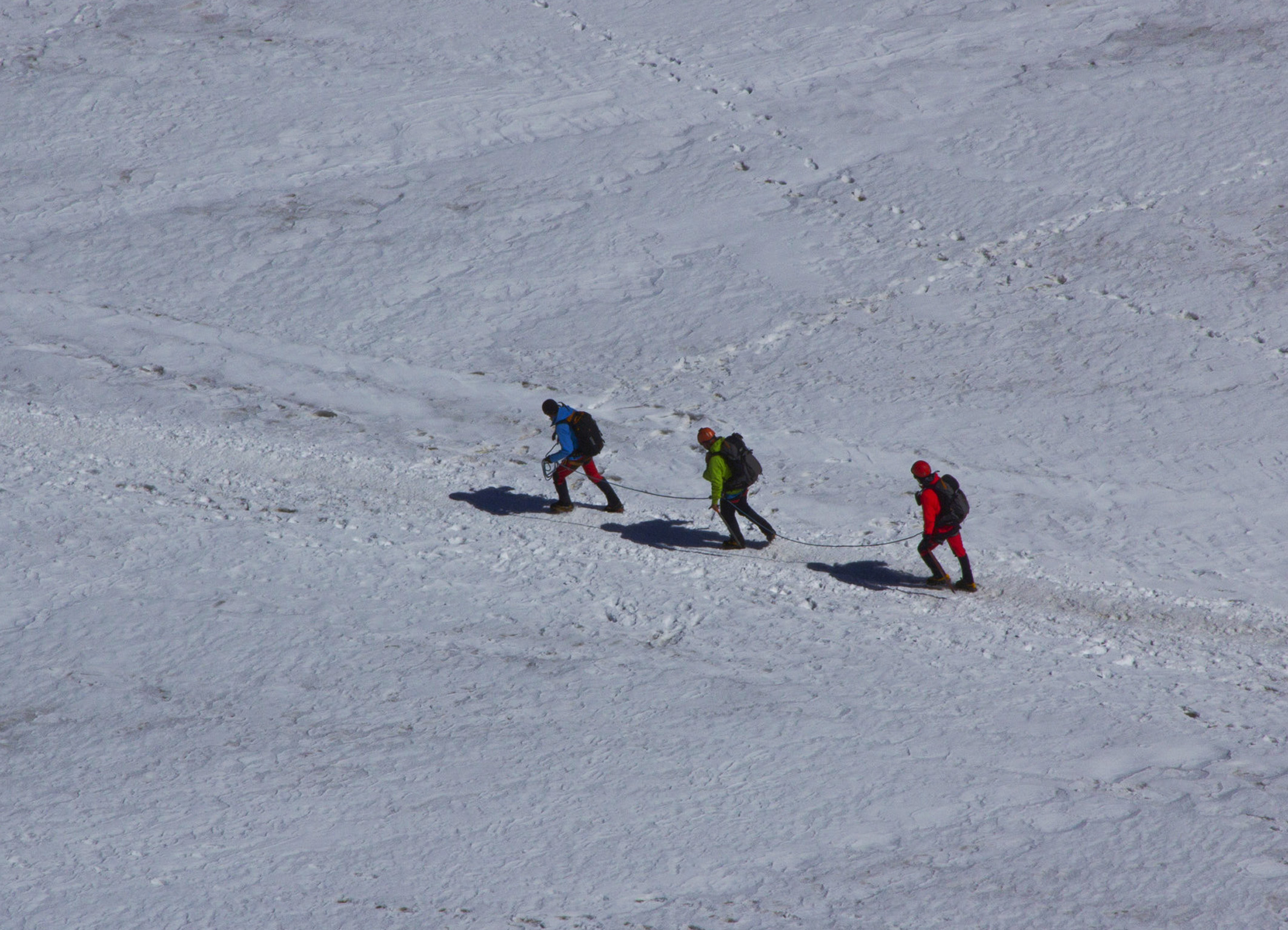 "Every long journey begins with a single step" Lao...