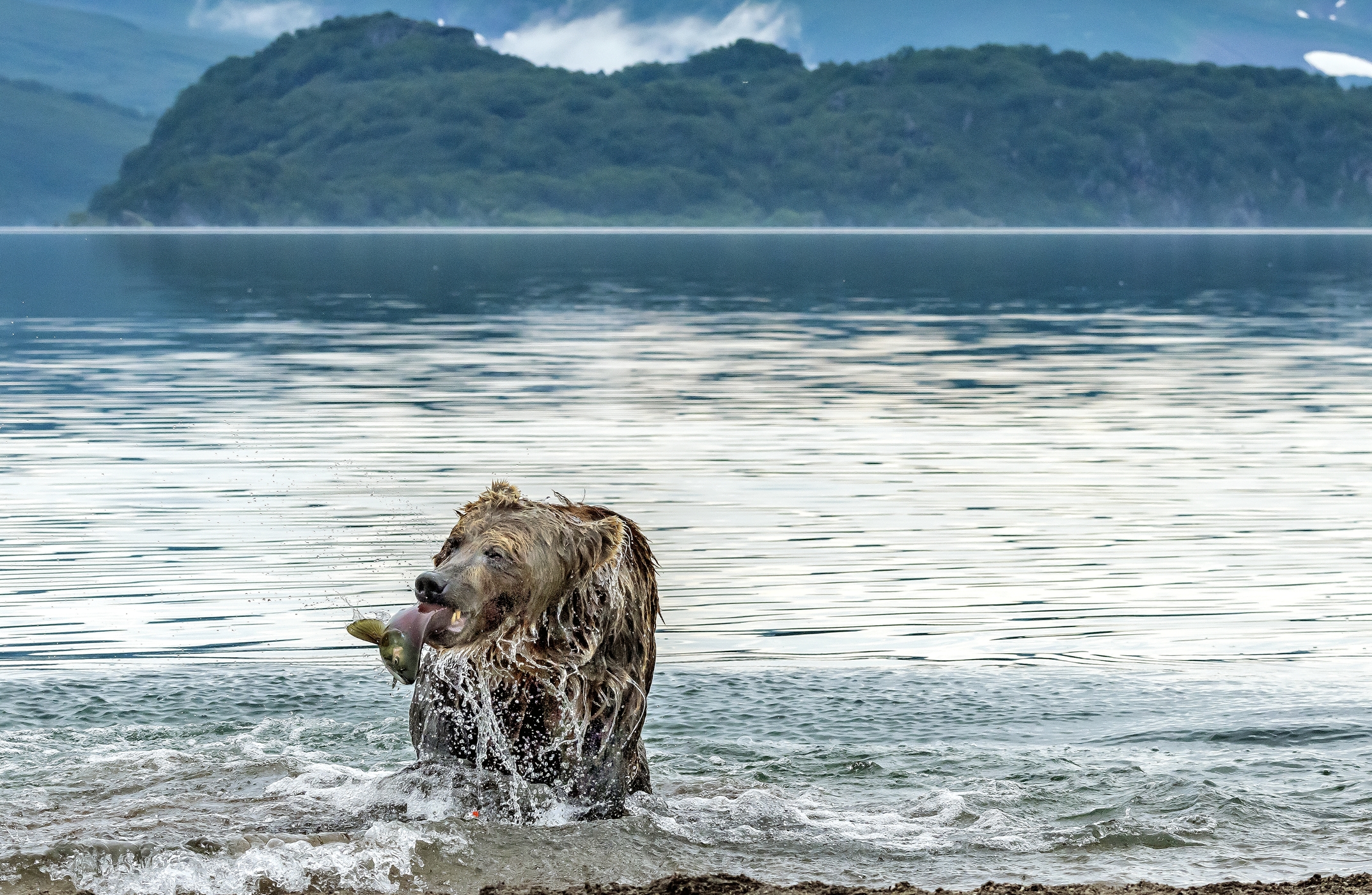 Kamchatka 2016 - Pesca sul lago