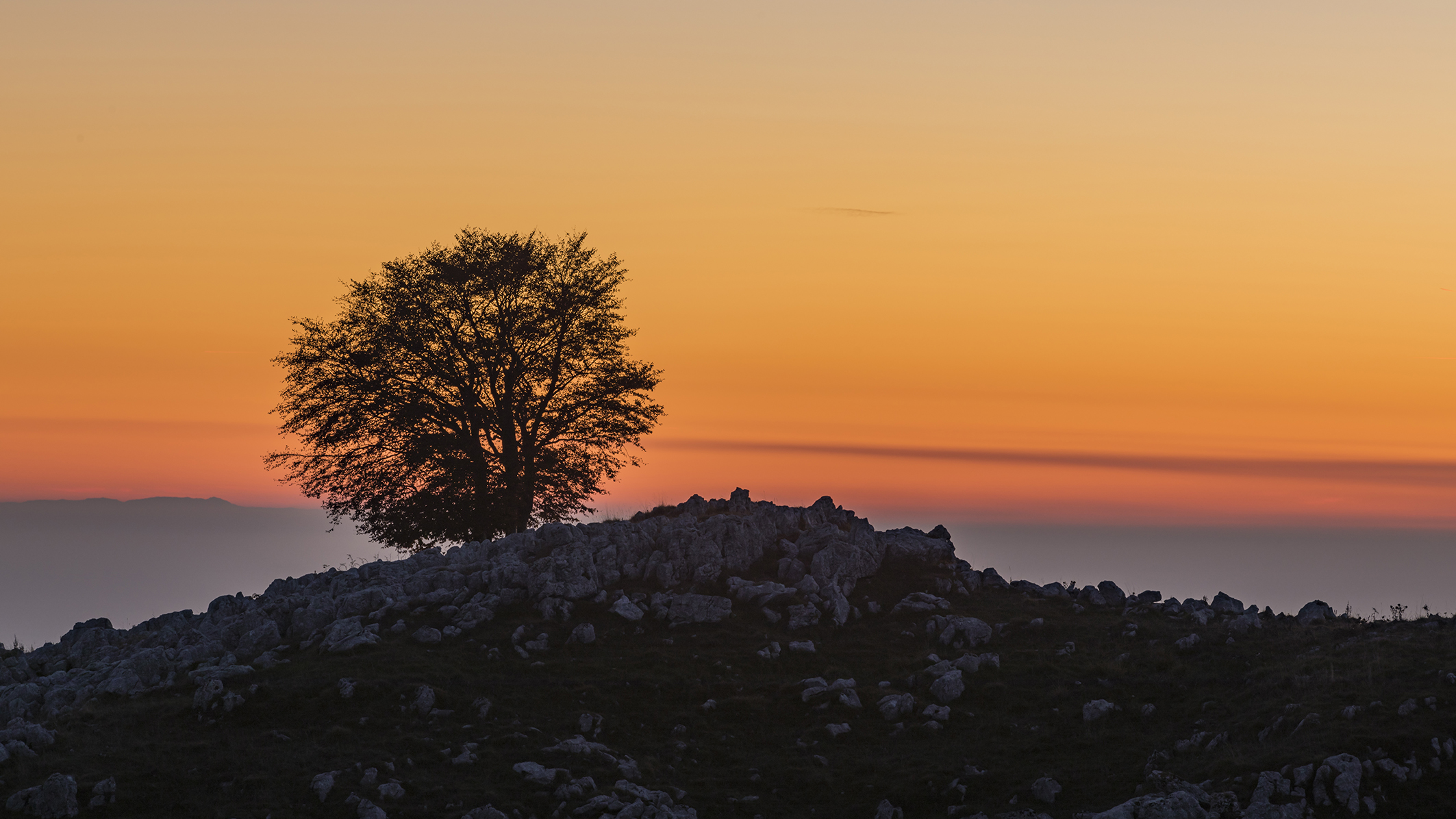 Monte Pizzoc Cansiglio