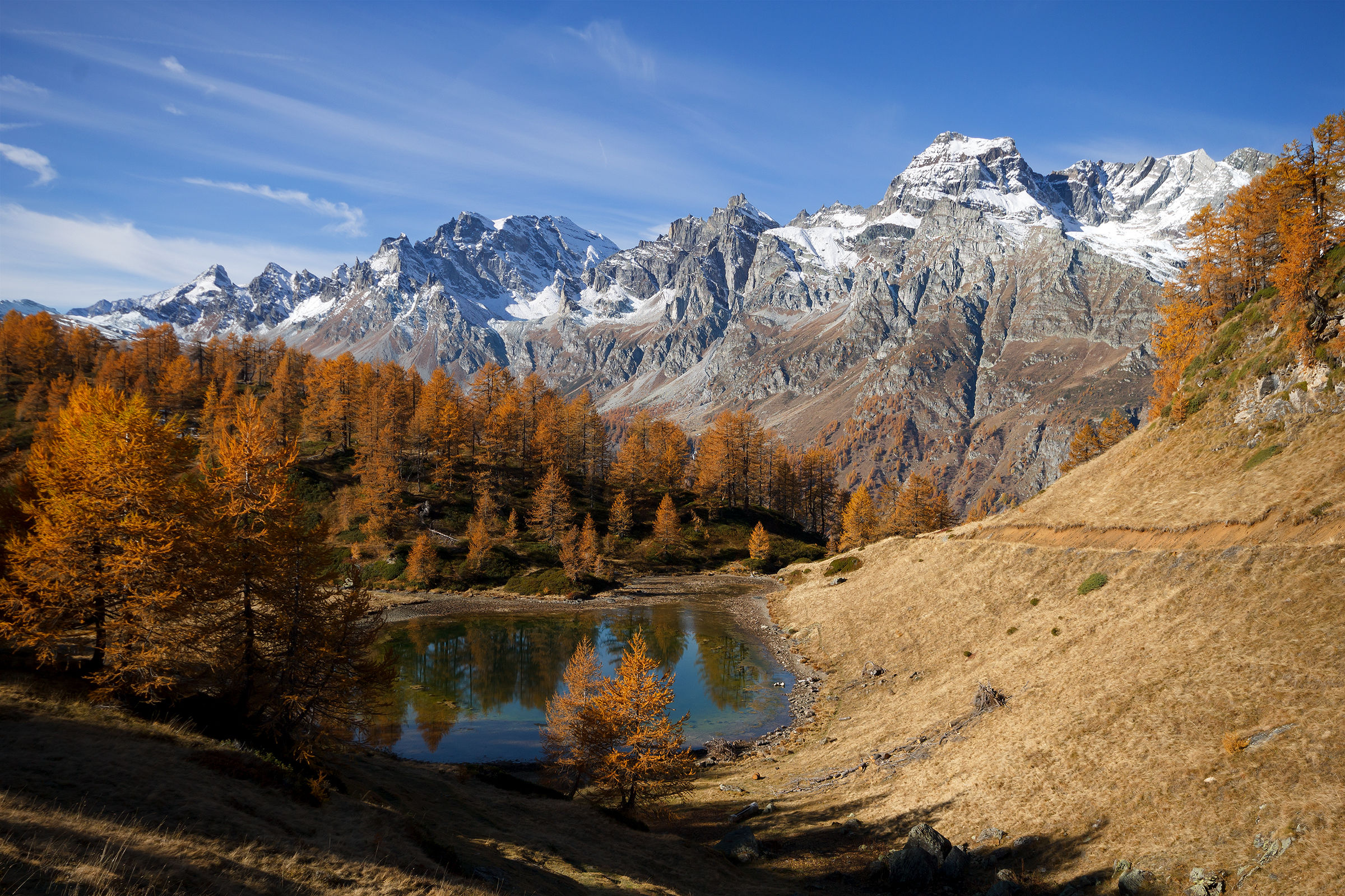 Sangiatto tinto d'autunno