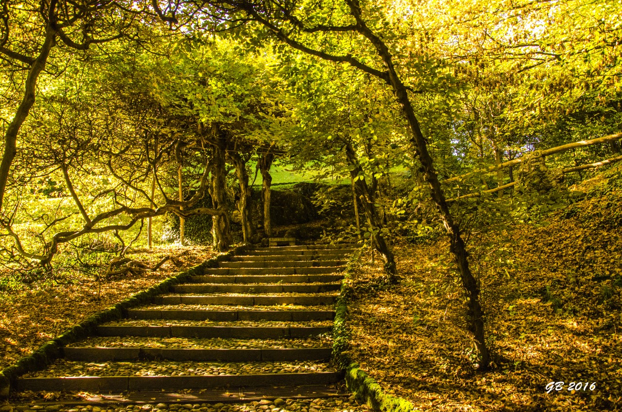 Giardini Estensi - Varese