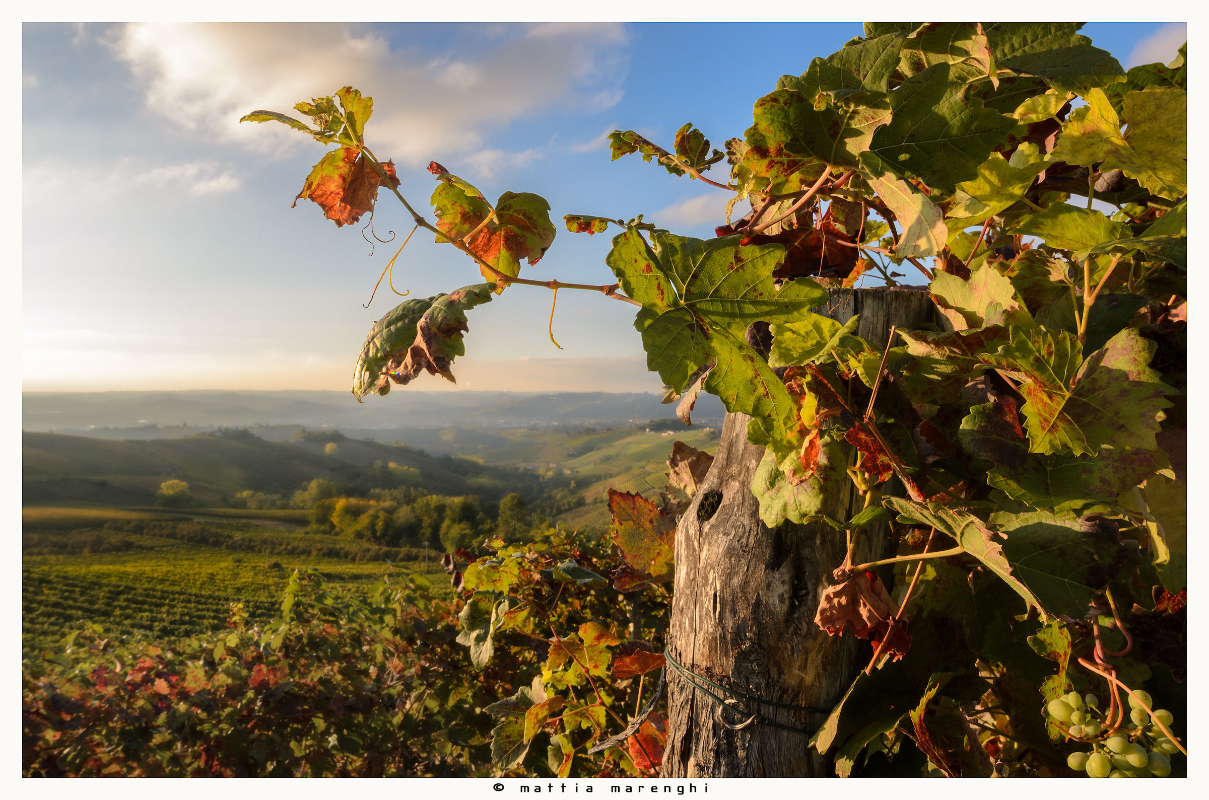 Il sapore di un buon vino