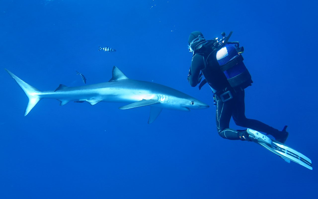 Incontri ravvicinati