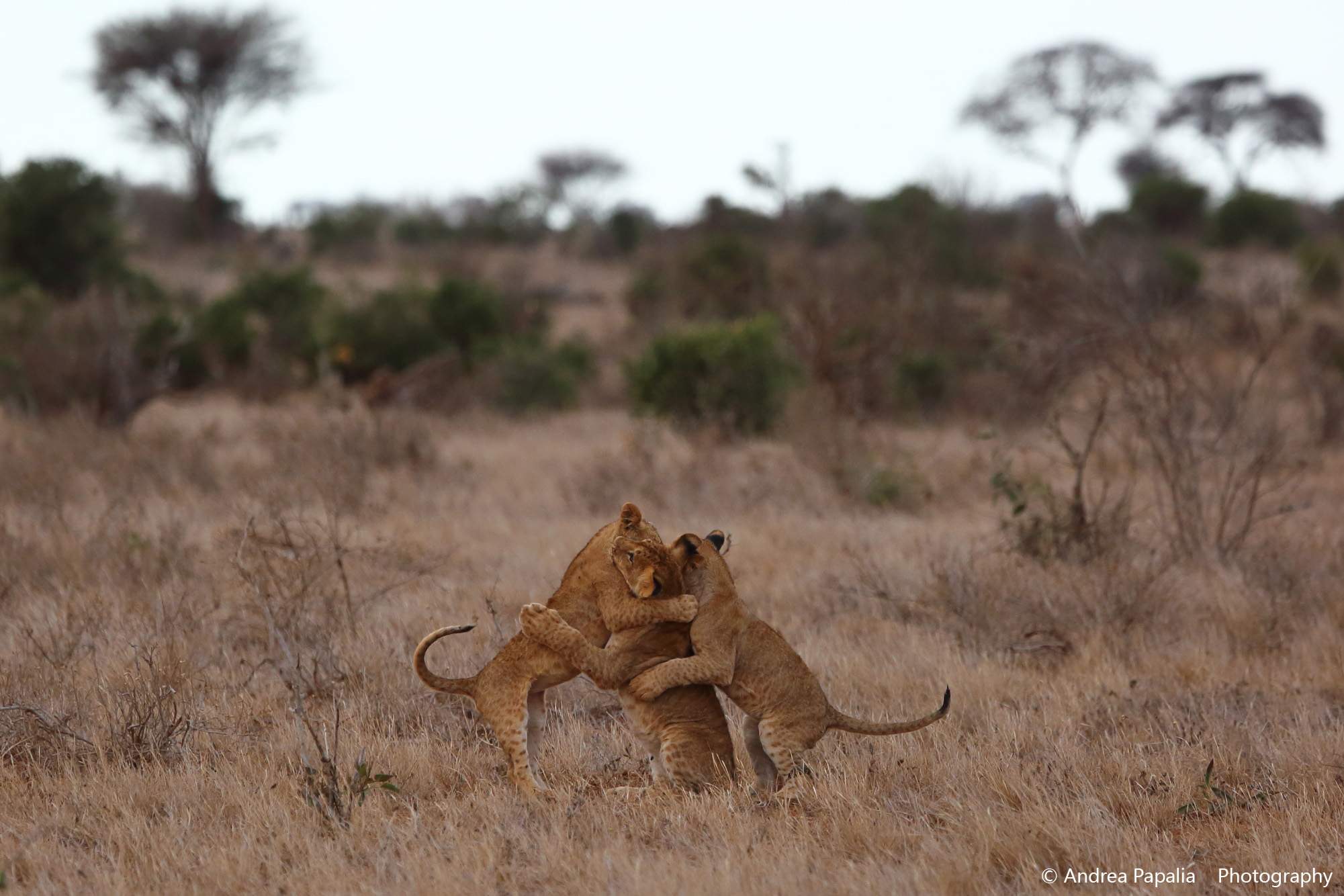 C'è un tempo per giocare...