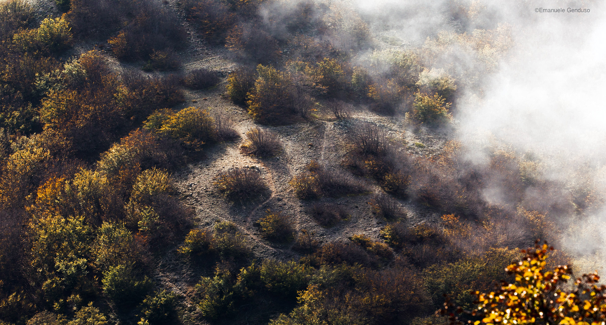 The shadow of Autumn
