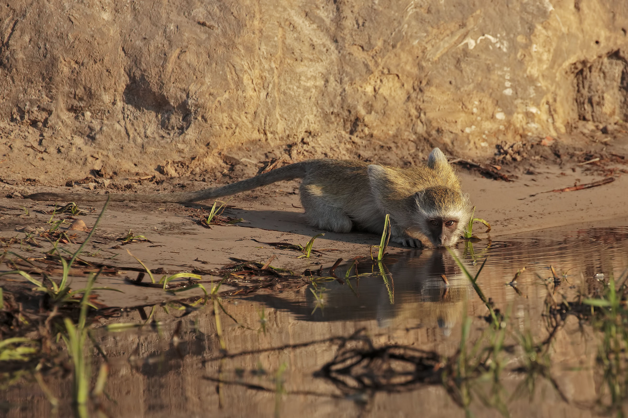 Bevo ma ti guardo!!!!