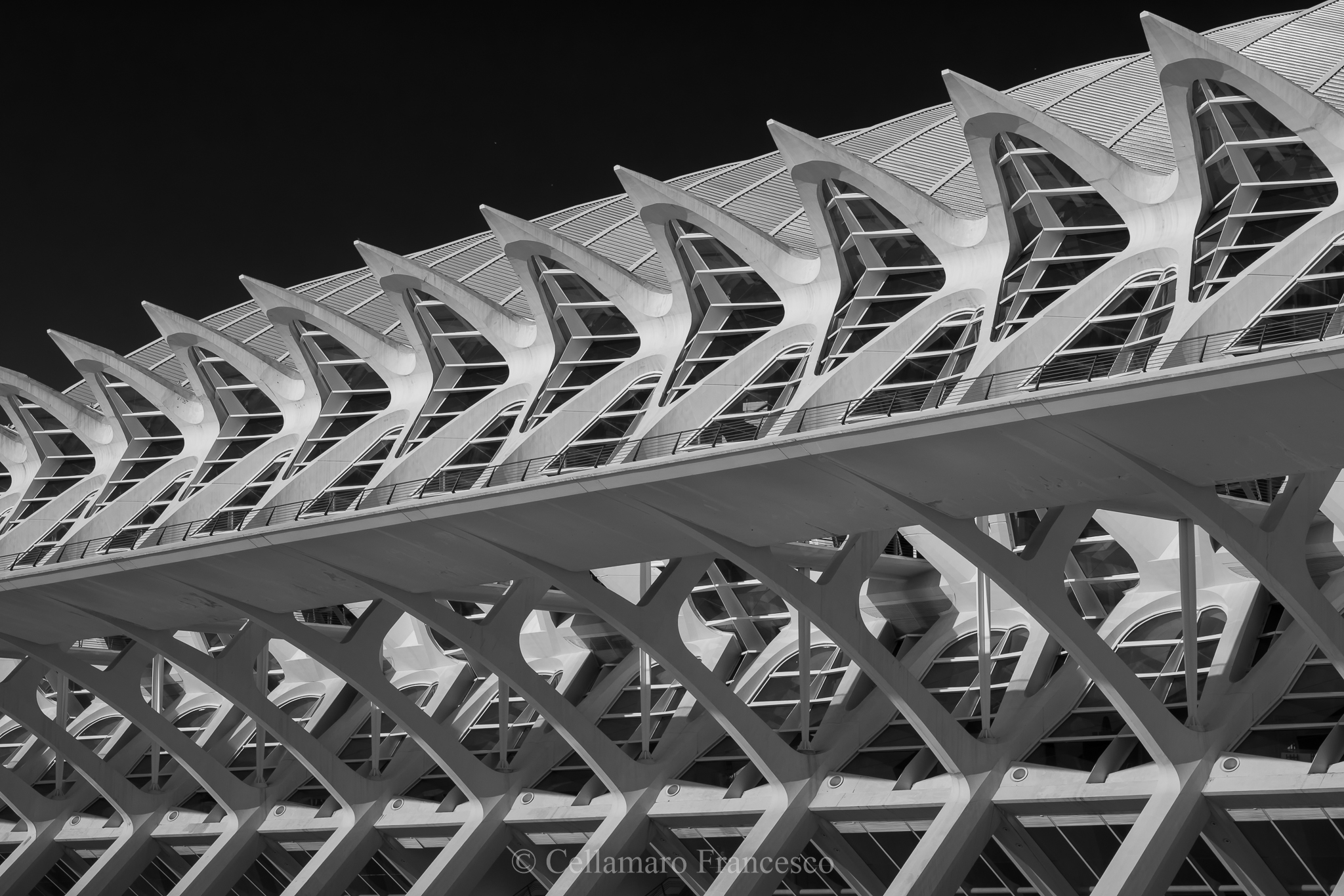 Ciutat de les Ciènses