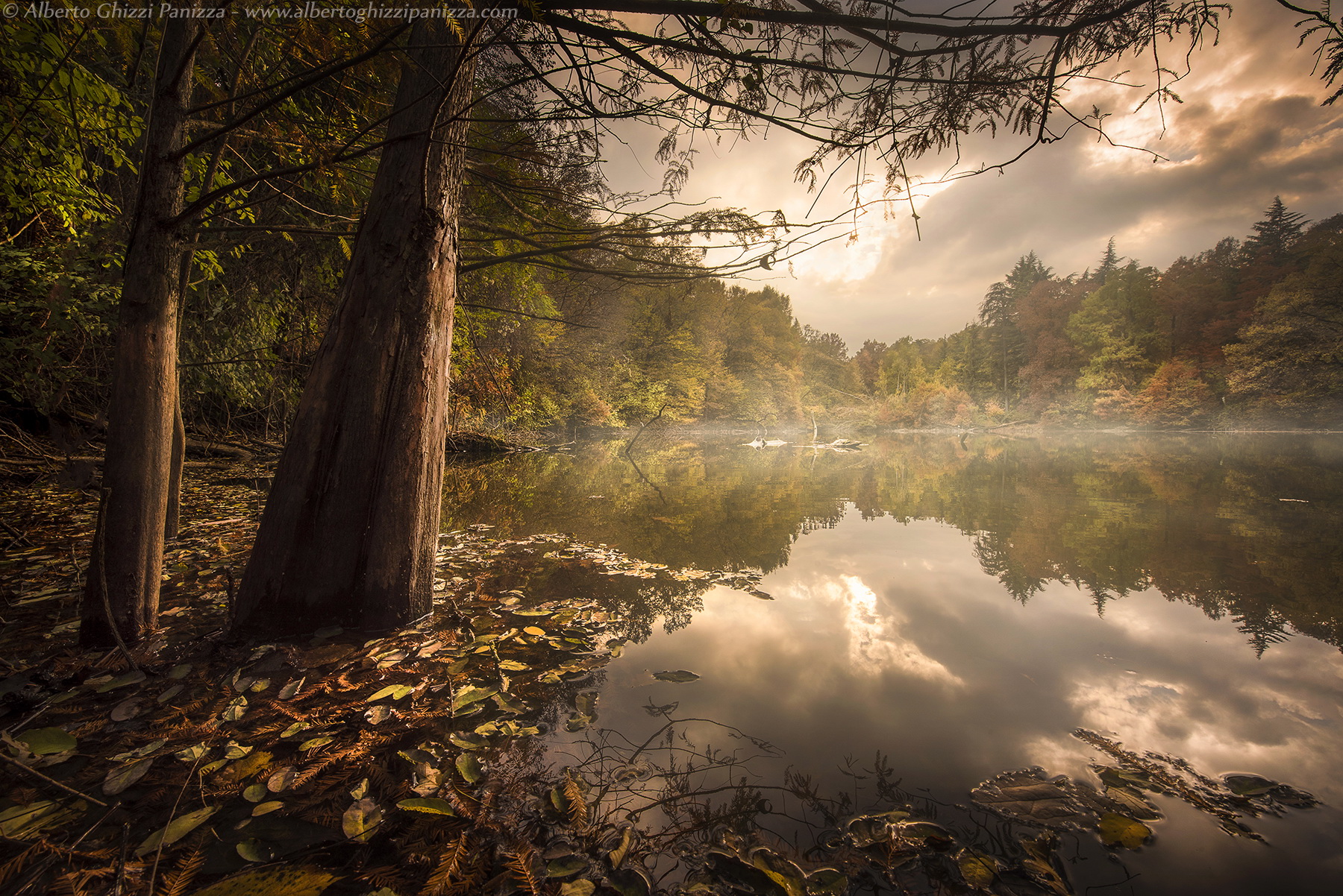 Immersed in the colors of autumn