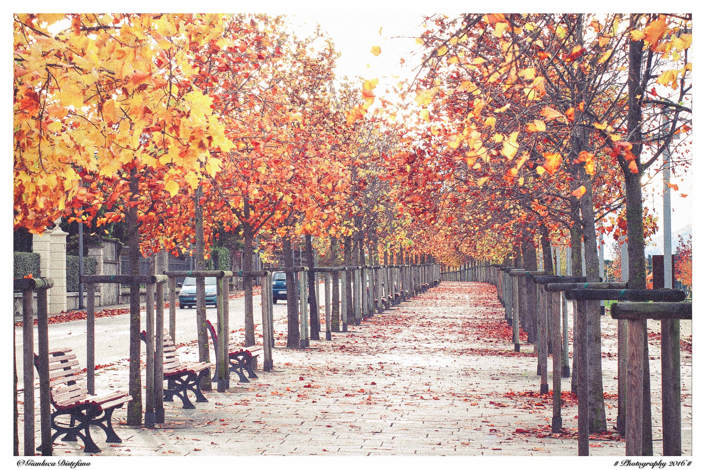 Passeggiata nei colori autunnali- Luino