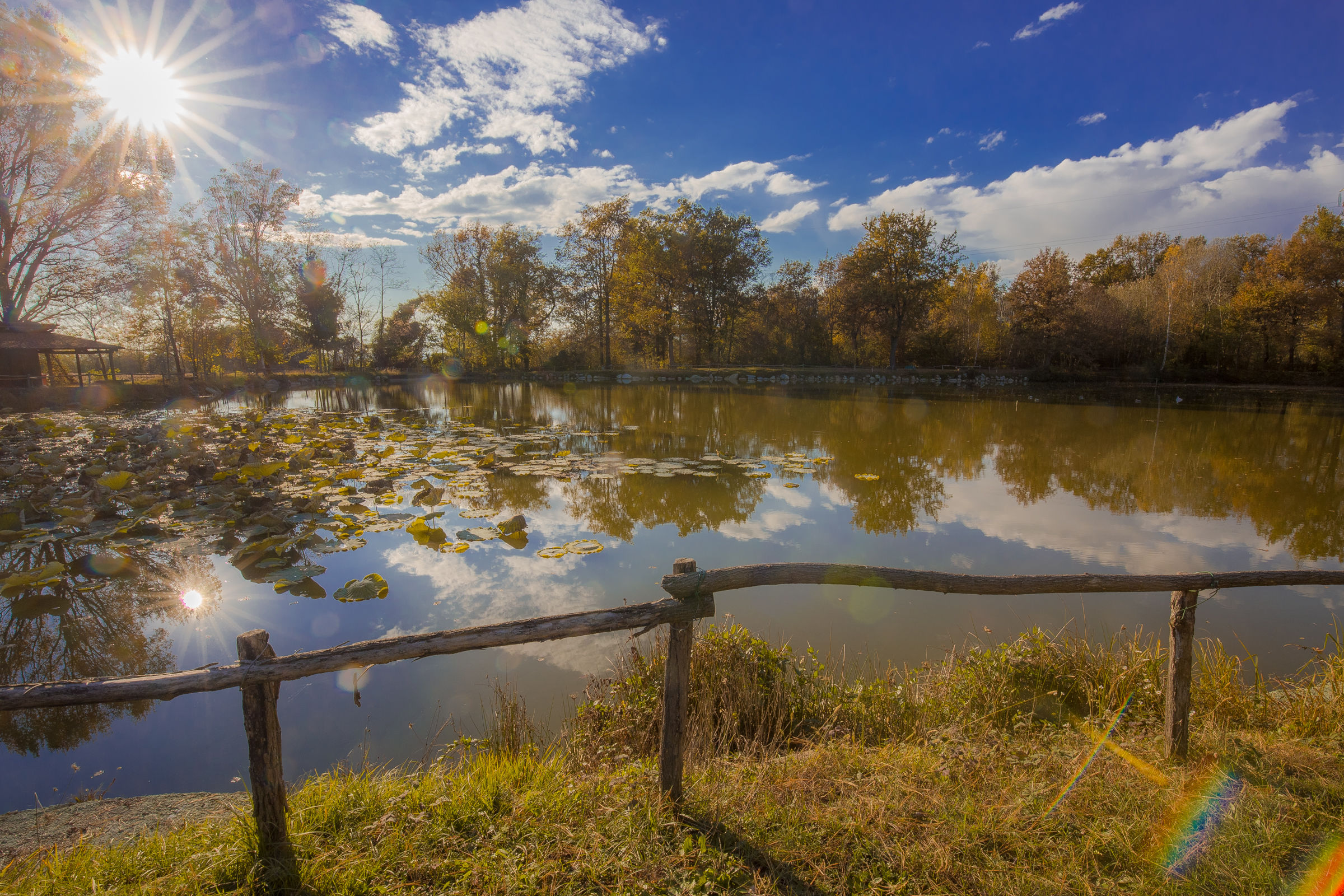 Colori d'autunno nel canavese (to)