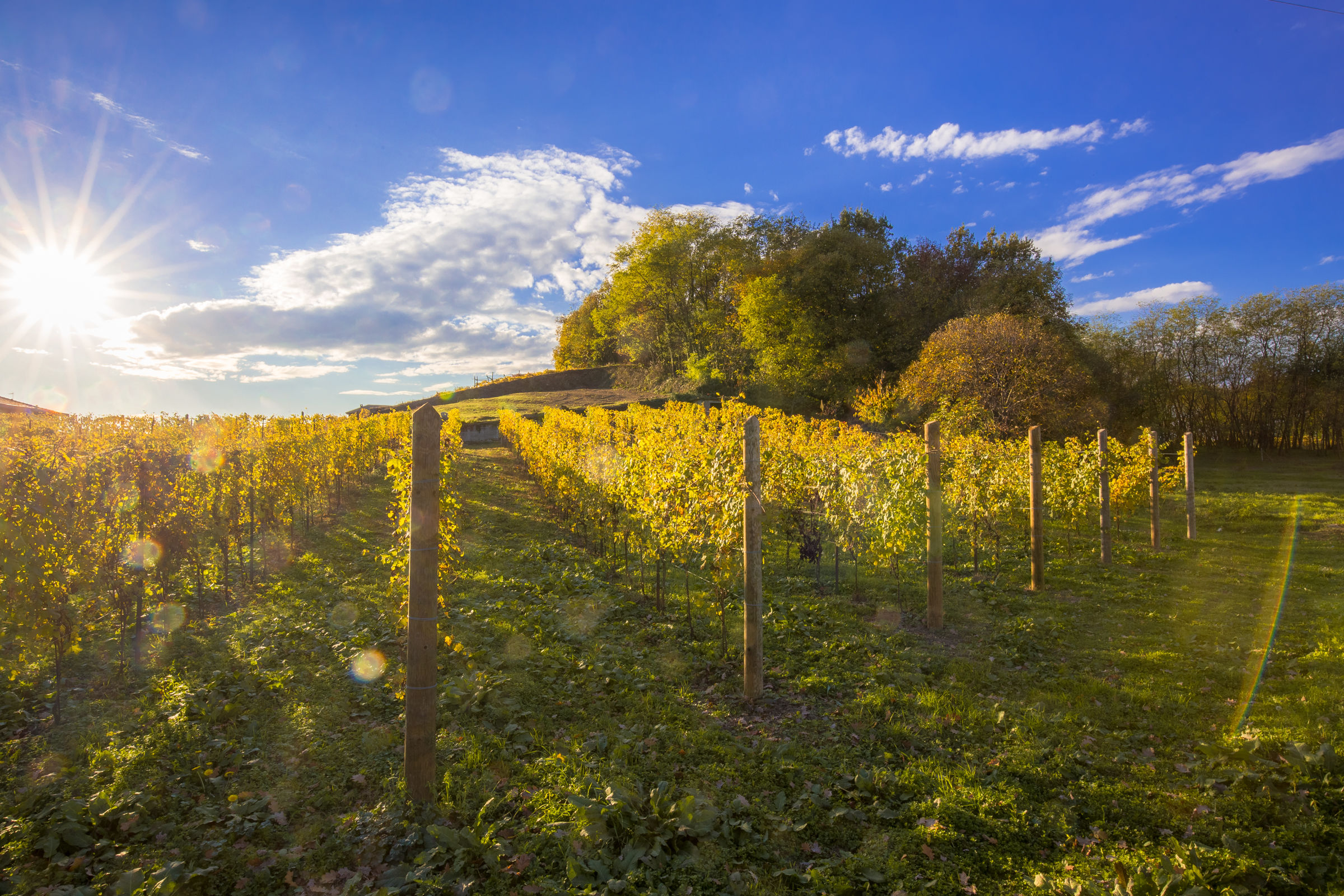 Colori d'autunno nel canavese (to)