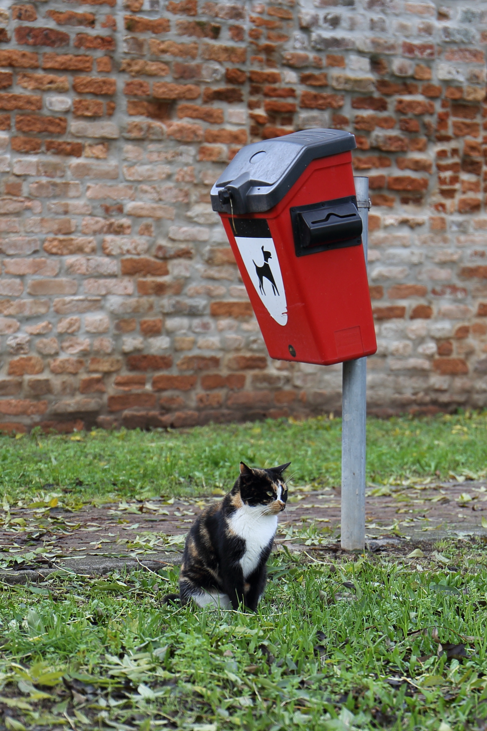 ... And we do not think anybody ever!