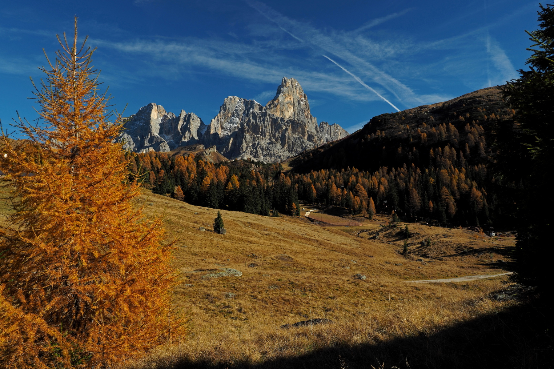 Una finestra sulle Pale