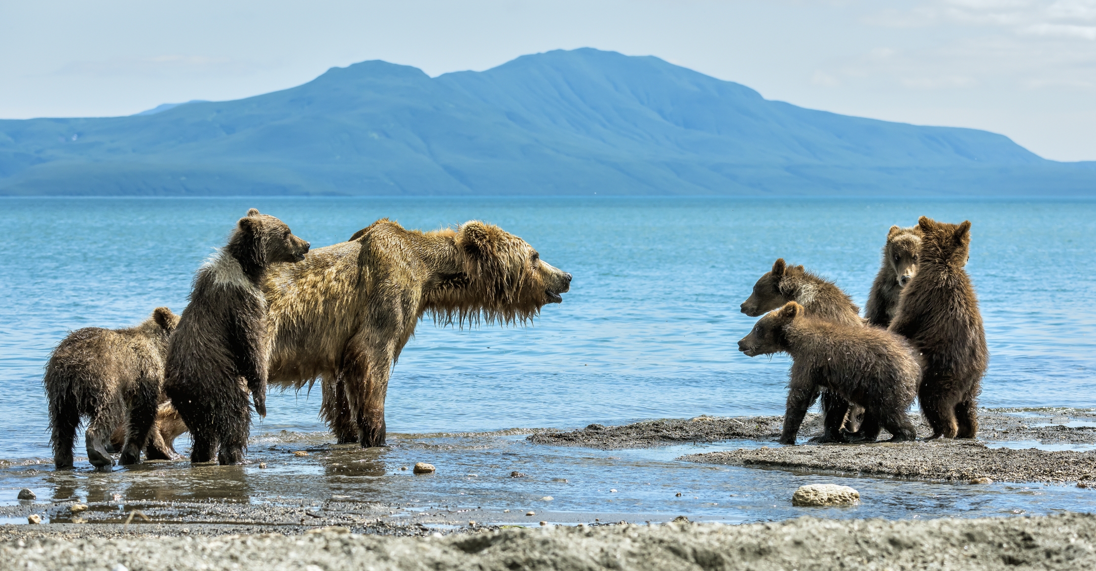 Kamchatka 2016 - Incontri