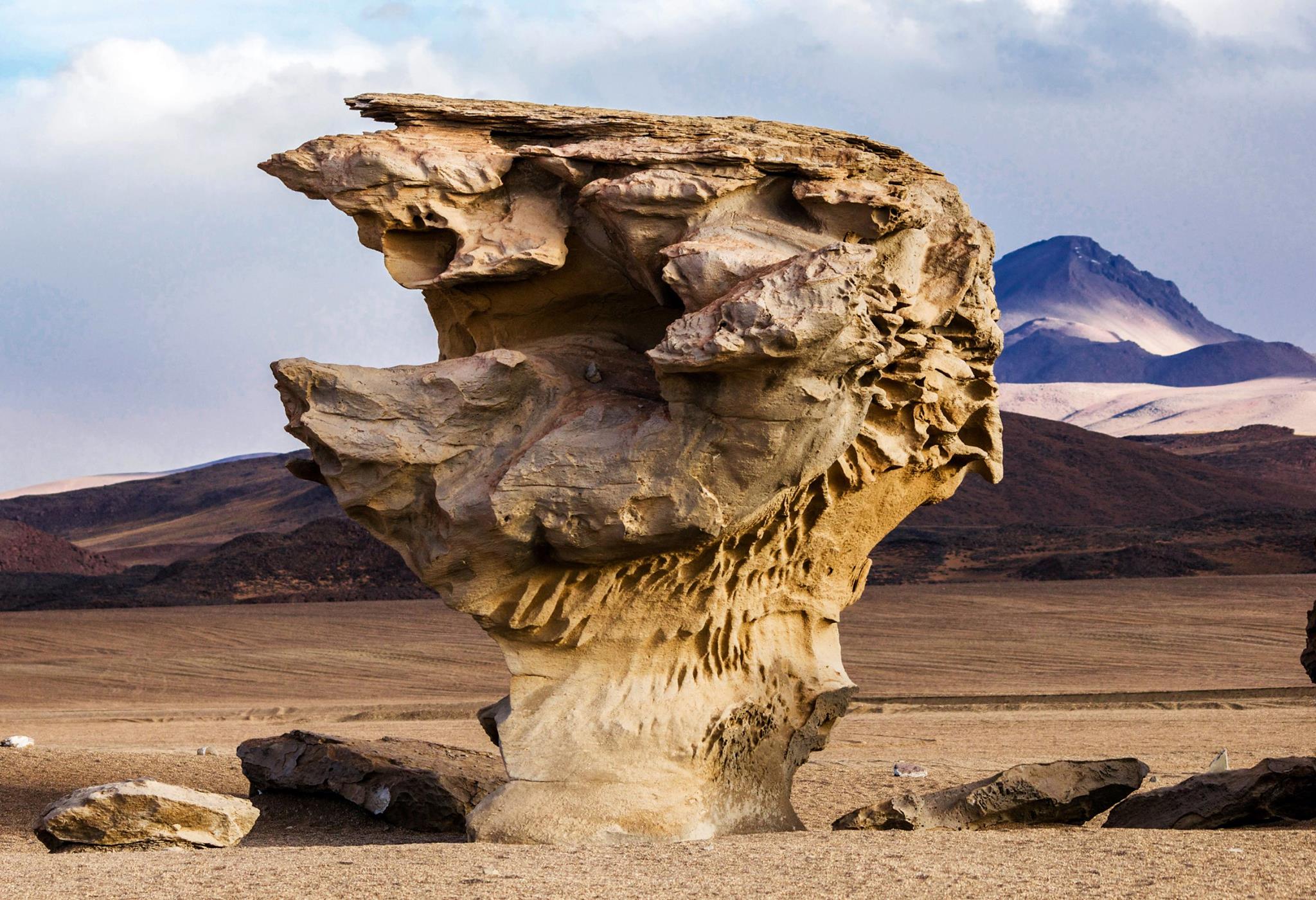 Niente mi spettina meglio del vento