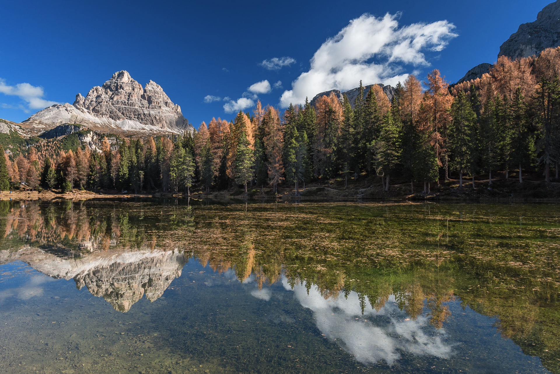 Autumn in the mirror